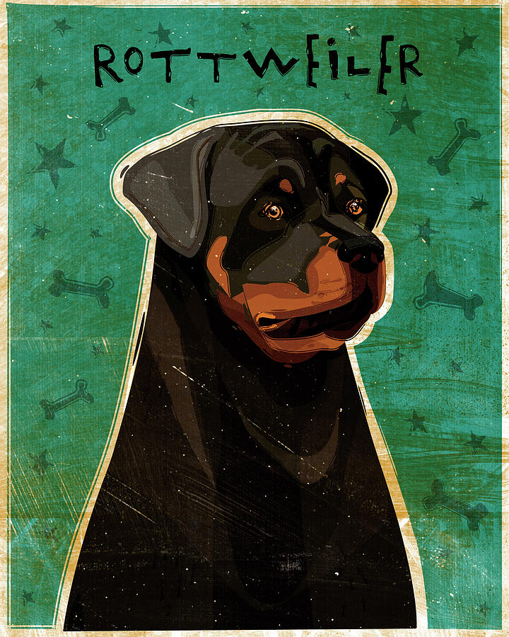 Animal Digital Art - Rottweiler by John W. Golden