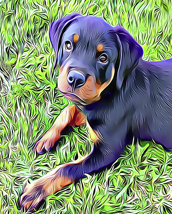Rottweiler Puppy Drawing by Sun Leil