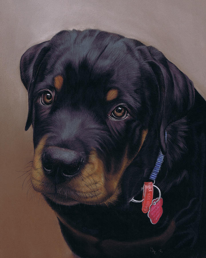 Dog Painting - Rottweiler Solo by Karie-ann Cooper