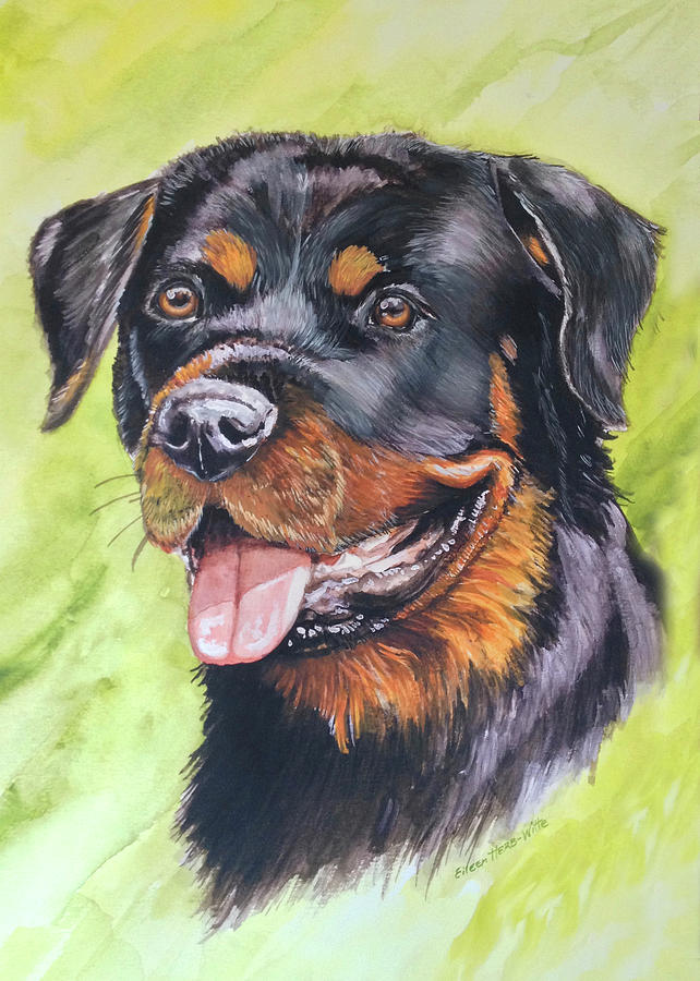 Dog Painting - Rotty Dog 1 by Eileen Herb-witte