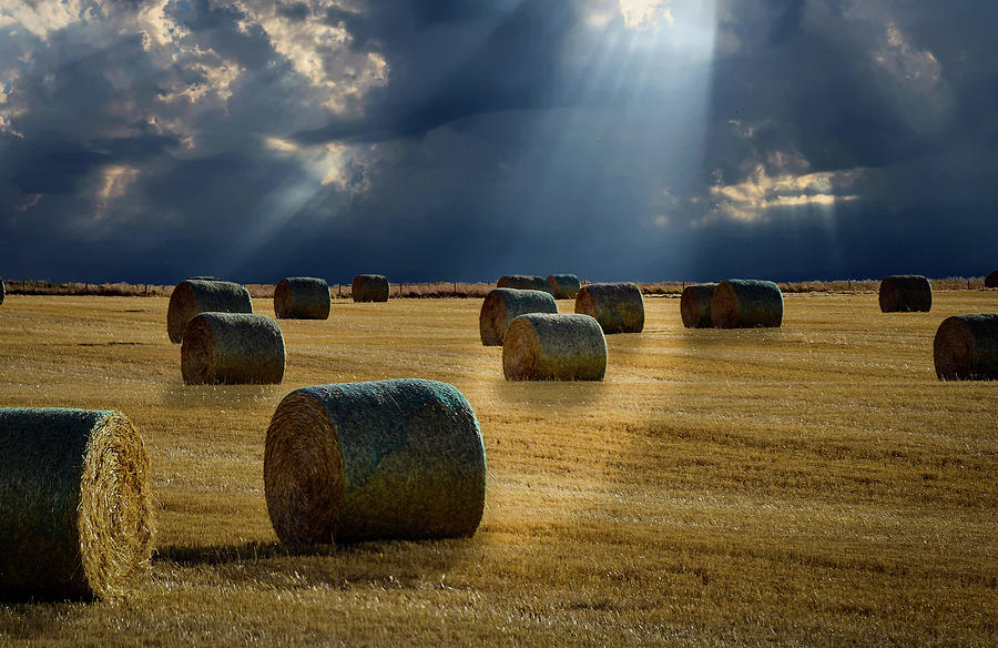 Afternoon Photograph - Round Bales by Phil And Karen Rispin
