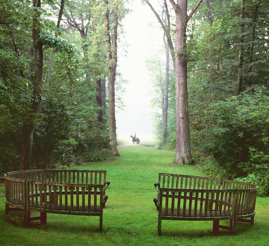 Round Bench In Woods Photograph by Richard Felber