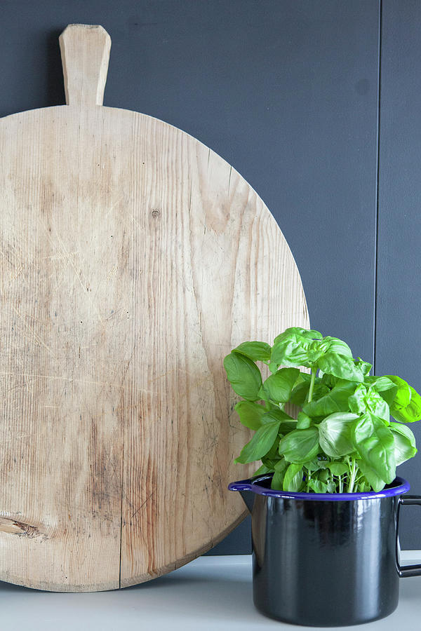 Round Wooden Chopping Board And Basil Plant In Enamel Jug Photograph by Anne-catherine Scoffoni