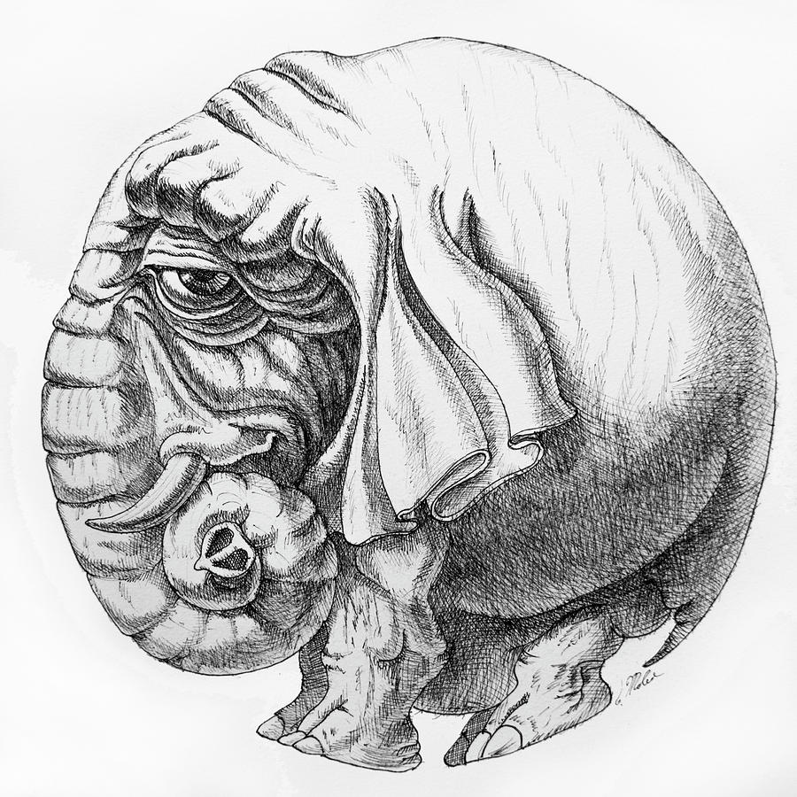 Rounded Elephant Drawing by Victor Molev