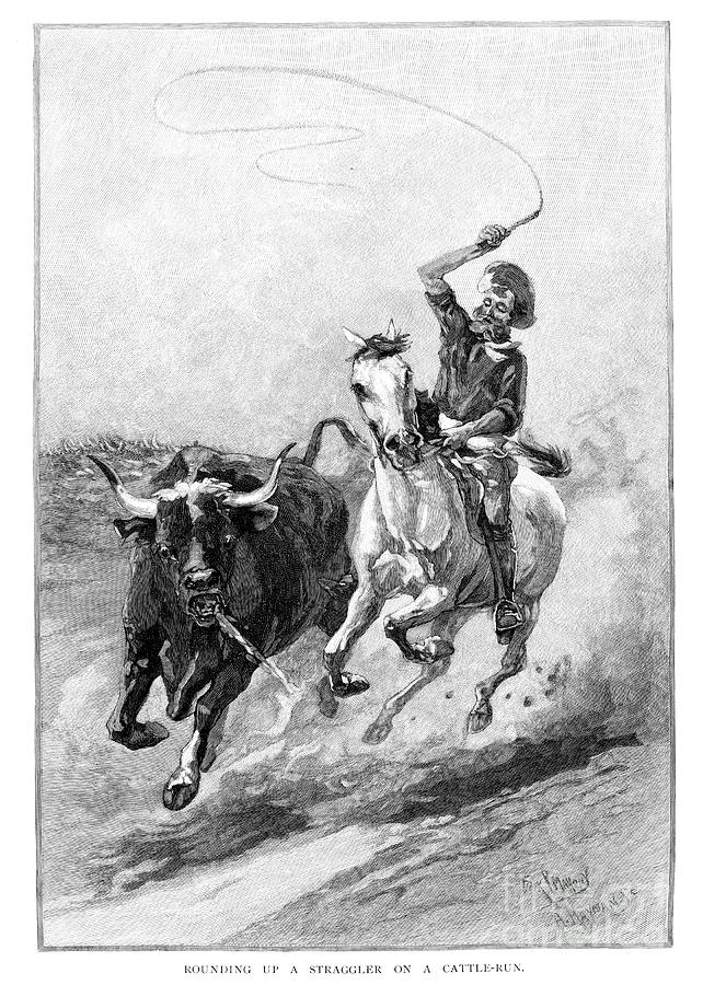 Rounding Up A Straggler On A Cattle Drawing by Print Collector