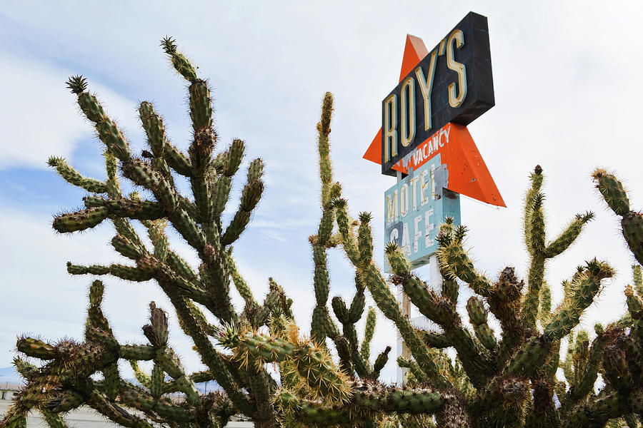 Route 66 Cactus Photograph by Kyle Hanson