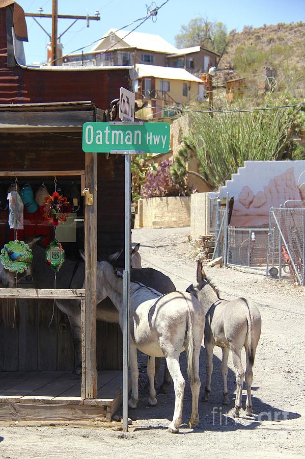 Desert Photograph - Route 66 Oatman by Suzanne Oesterling