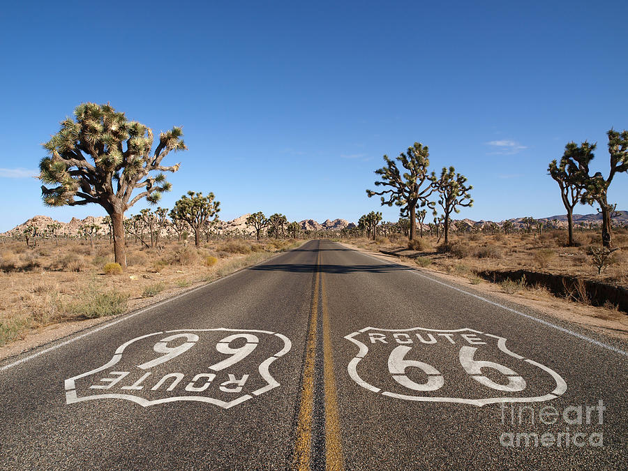 66 Photograph - Route 66 With Joshua Trees Deep Inside by Trekandshoot 66 Photograph - Route 66 With Joshua Trees Deep Inside by Trekandshoot