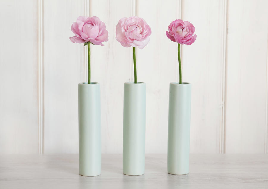 Still Life Photograph - Row Of 3 Pink Flowers In Blue Vases by Tom Quartermaine