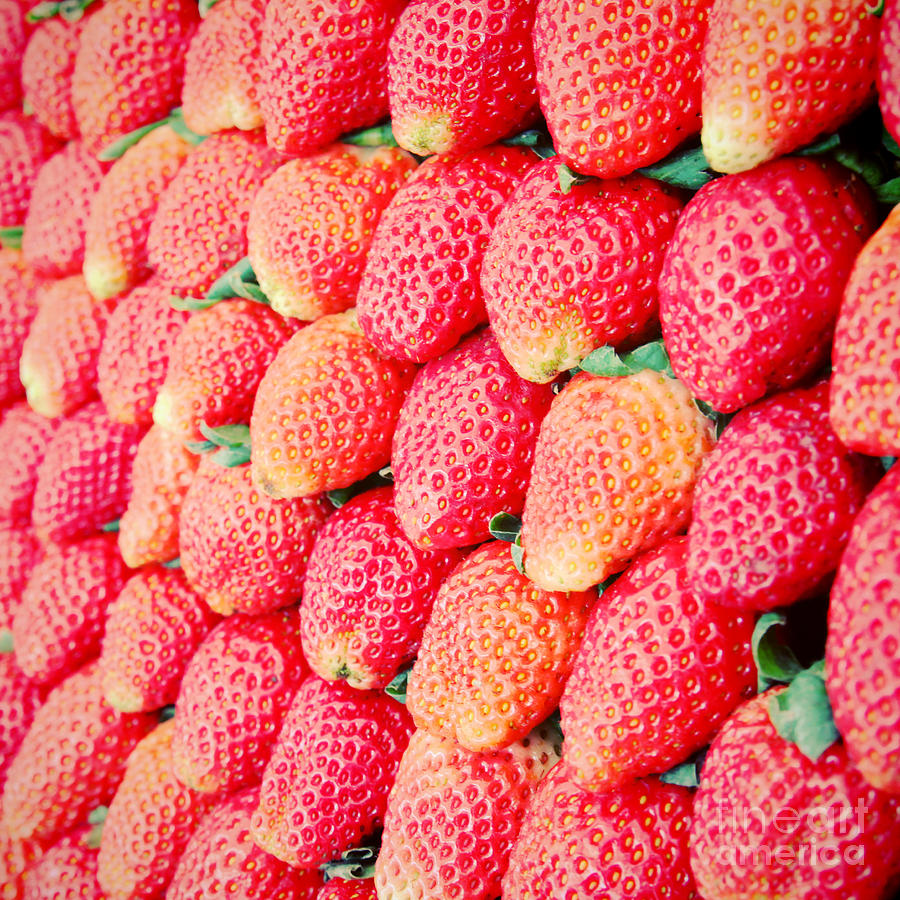Berry Photograph - Row Of Fresh Strawberry With Retro by Happydancing Berry Photograph - Row Of Fresh Strawberry With Retro by Happydancing