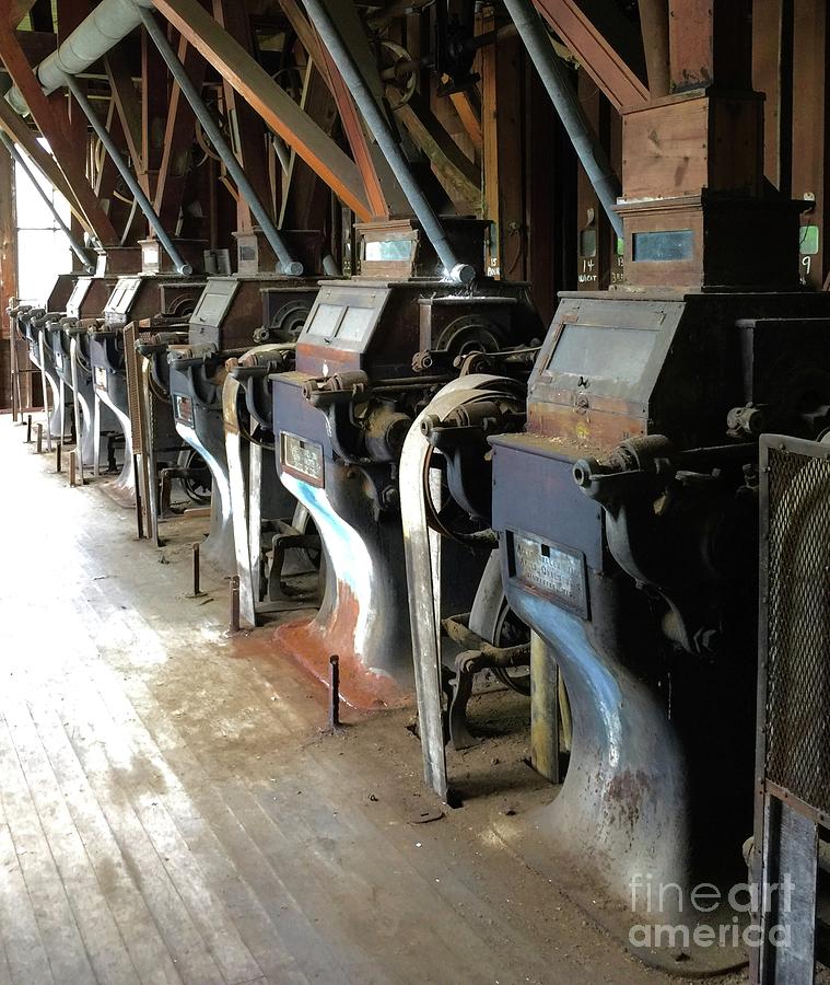 Feed Store Photograph - Row Of Rollers 2 by Megan Cohen Feed Store Photograph - Row Of Rollers 2 by Megan Cohen