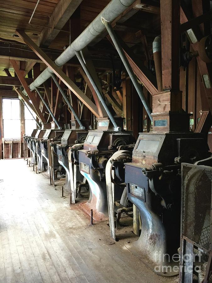 Feed Store Photograph - Row Of Rollers by Megan Cohen Feed Store Photograph - Row Of Rollers by Megan Cohen