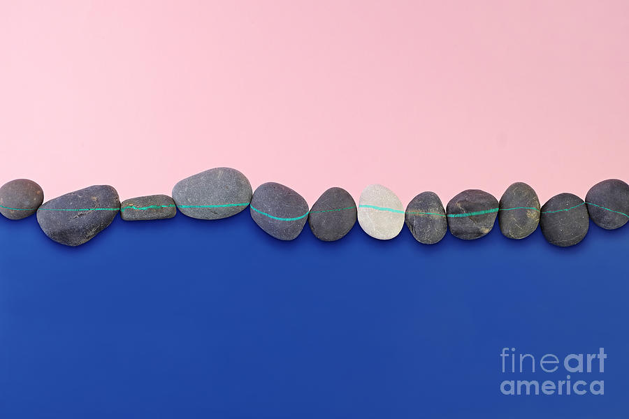 Row Of Striped Rocks On A Color Blocked Photograph by Juj Winn