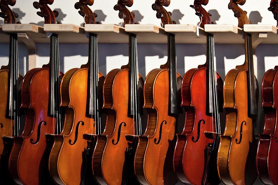 Row Of  Violins Photograph by Gerard Hermand