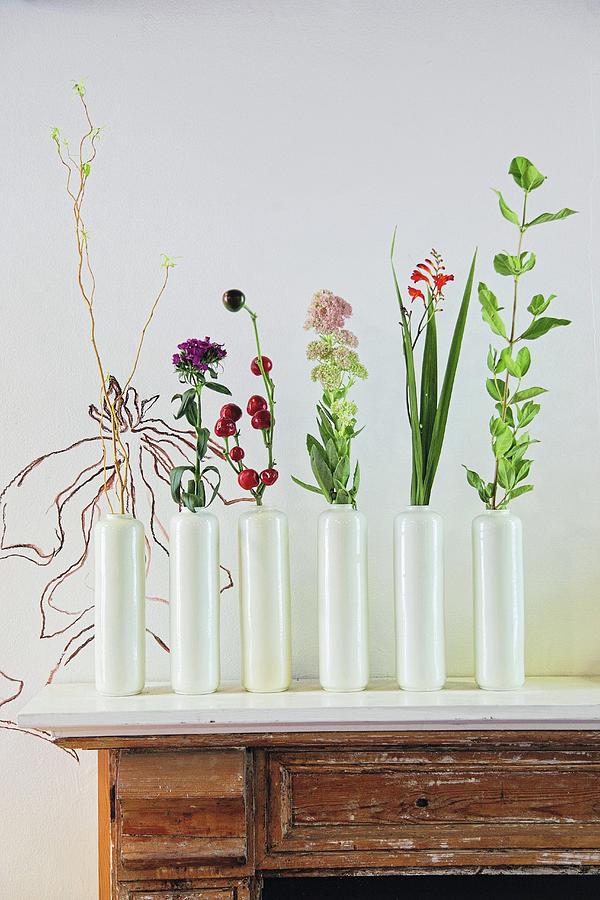 Row Of White Vases Holding Single Flowers On Vintage Cabinet Photograph by Great Stock!