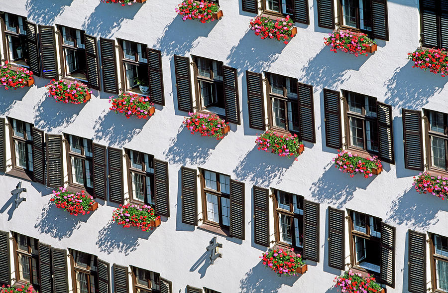 Row Of Windows And Flowers On A Building Photograph by Murat Taner
