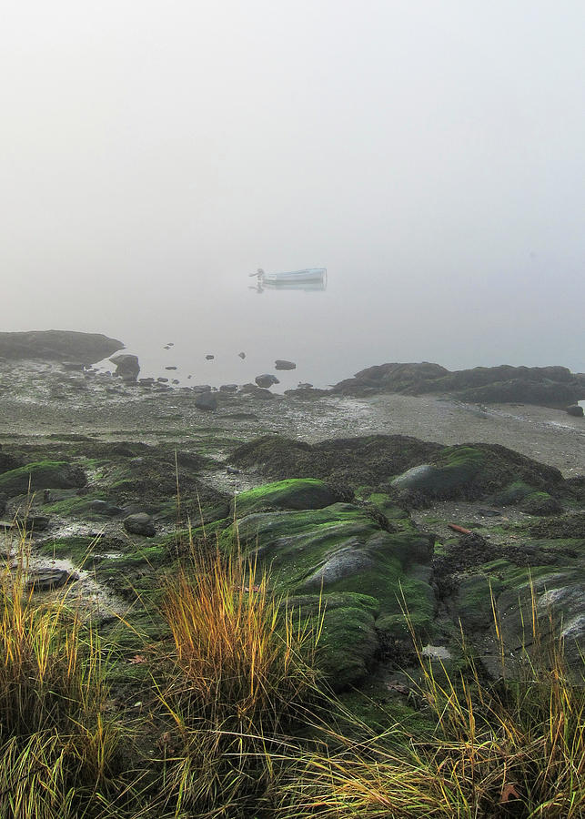 Little Powerboat In the Fog Photograph by Cordia Murphy