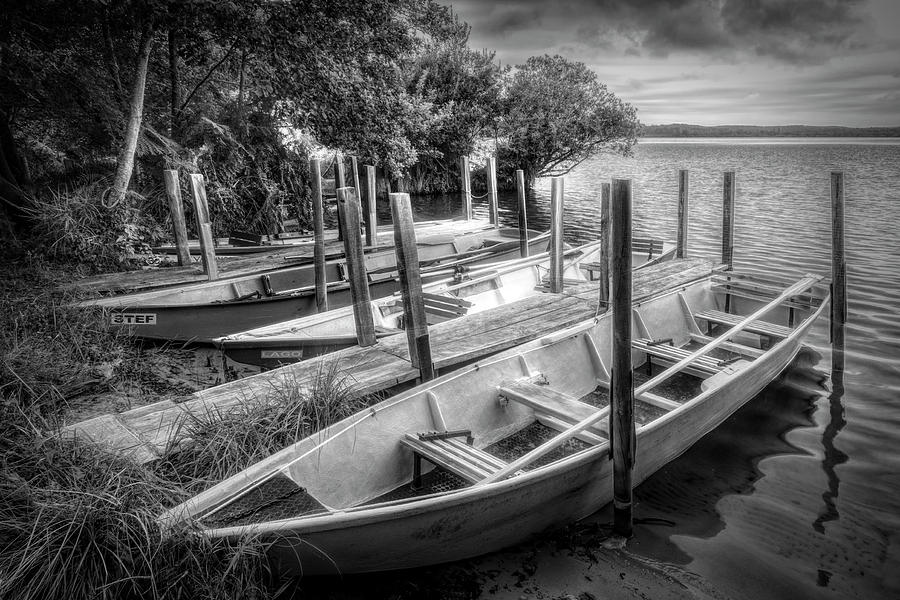Rowboats at the Dock in Black and White Photograph by Debra and Dave Vanderlaan