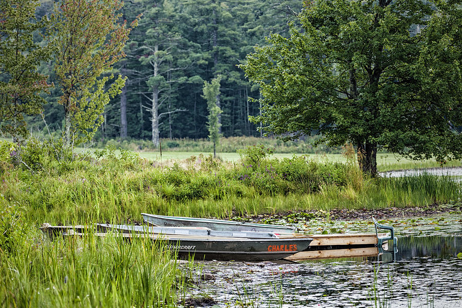 Rowboats by the Lake Photograph by Fran Gallogly