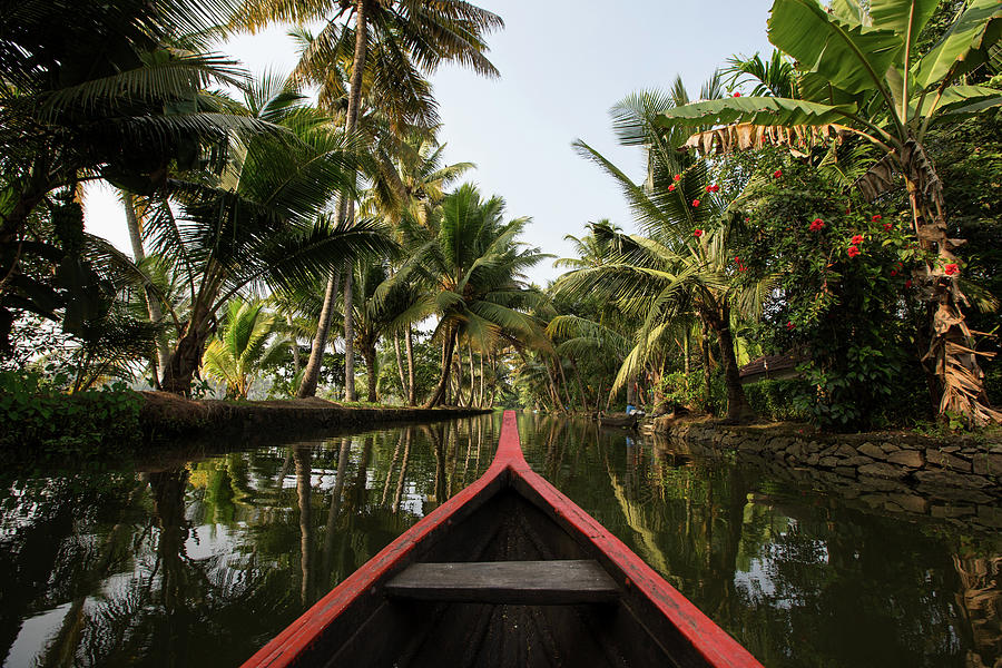 Summer Digital Art - Rowing Boat And Palm Trees On Kerala Backwaters, Kollam, Kerala, India by Michael Truelove