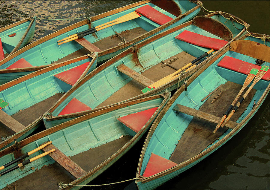 Rowing Boats Photograph by Photo By Stefanie Senholdt
