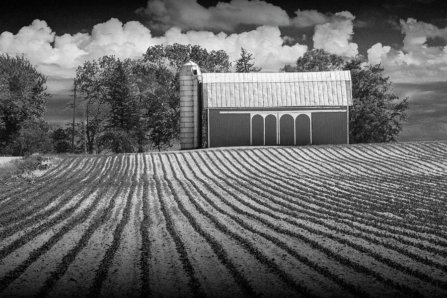 Rows in a Farm Field with Barn and Silo in Black and White Photograph by Randall Nyhof