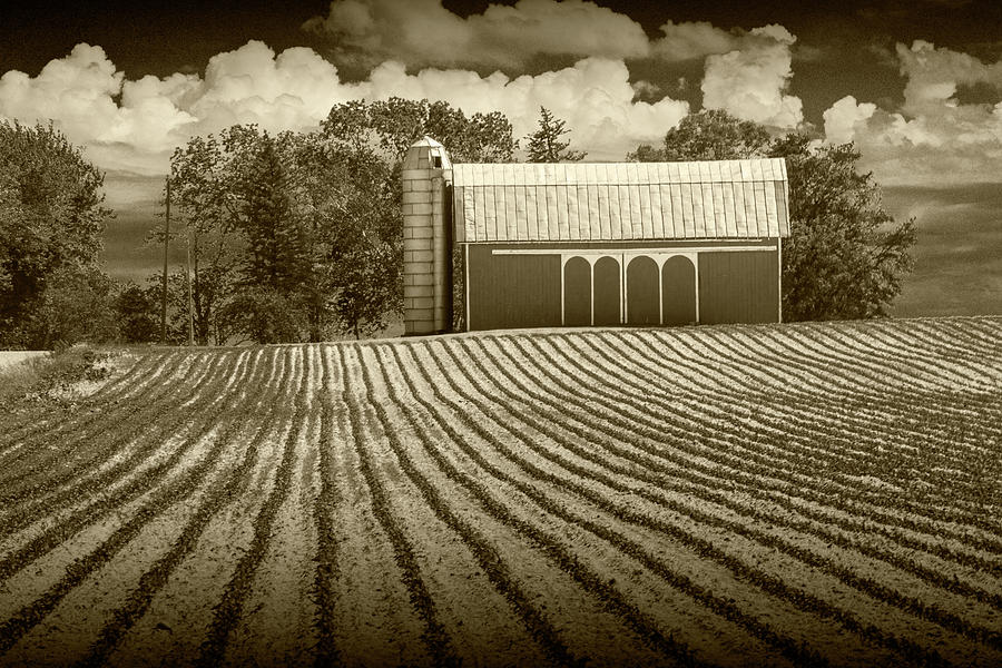 Rows in a Farm Field with Barn and Silo in Sepia Tone  Photograph by Randall Nyhof