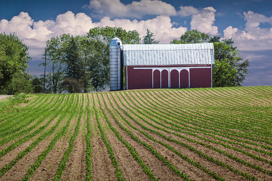 Rows in a Farm Field with Red Barn and Silo in West Michigan by Randall Nyhof Rows in a Farm Field with Red Barn and Silo in West Michigan by Randall Nyhof