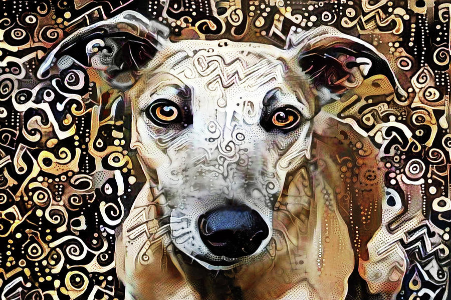 Roxie the Greyhound Digital Art by Peggy Collins