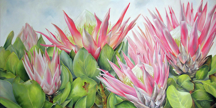 Cape Town Painting - Royal Flush by Ellie Eburne