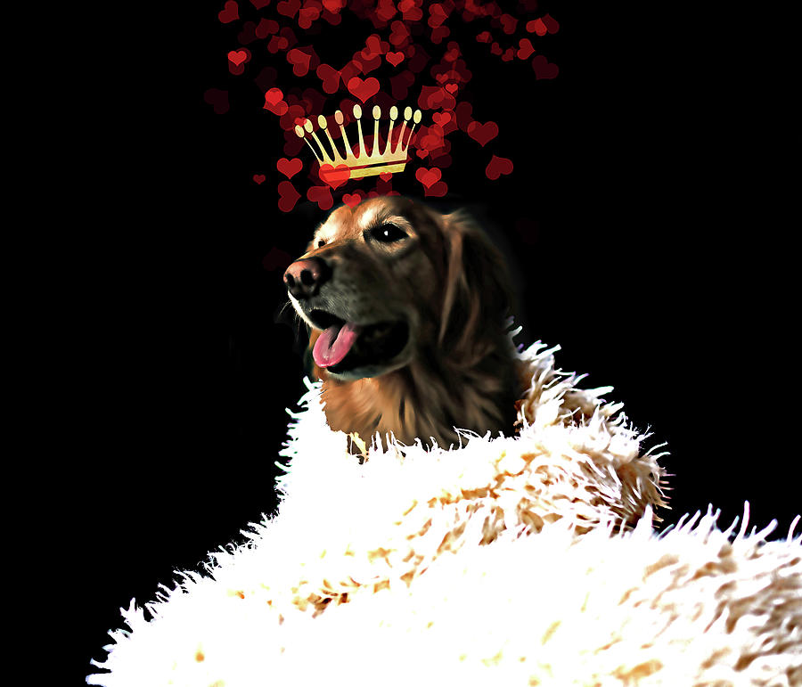 Dog Digital Art - Royal Love Pup - Golden Retriever by Tina Lavoie