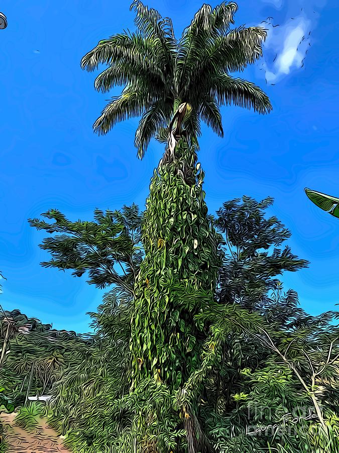 Royal Palm Tree Digital Art by Laura Forde