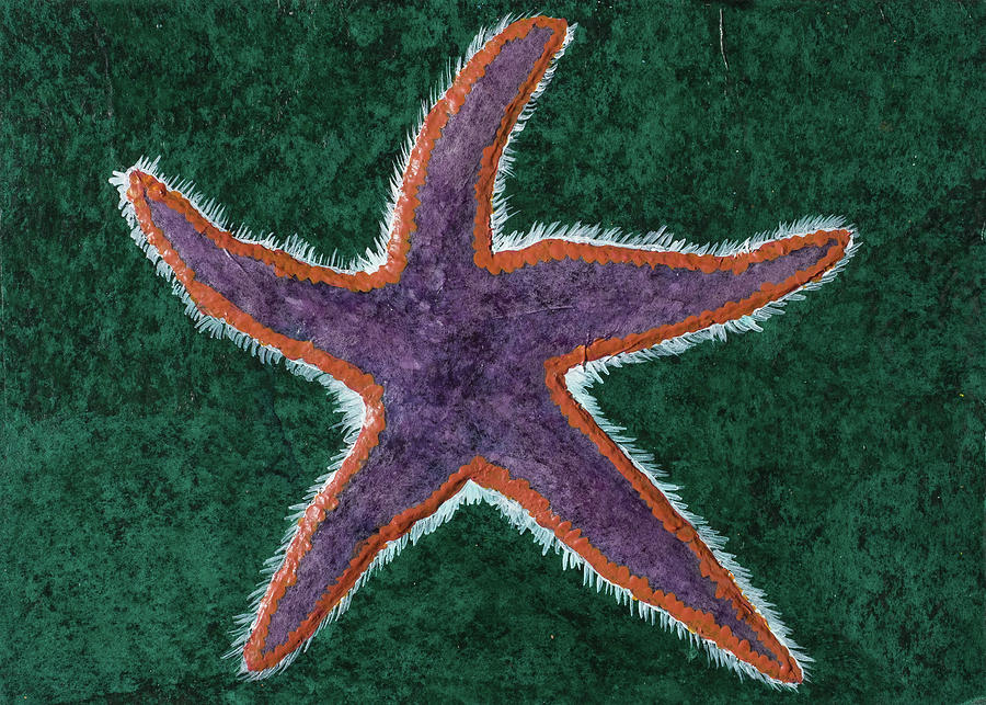 Royal Starfish by Laelia Watt Royal Starfish by Laelia Watt