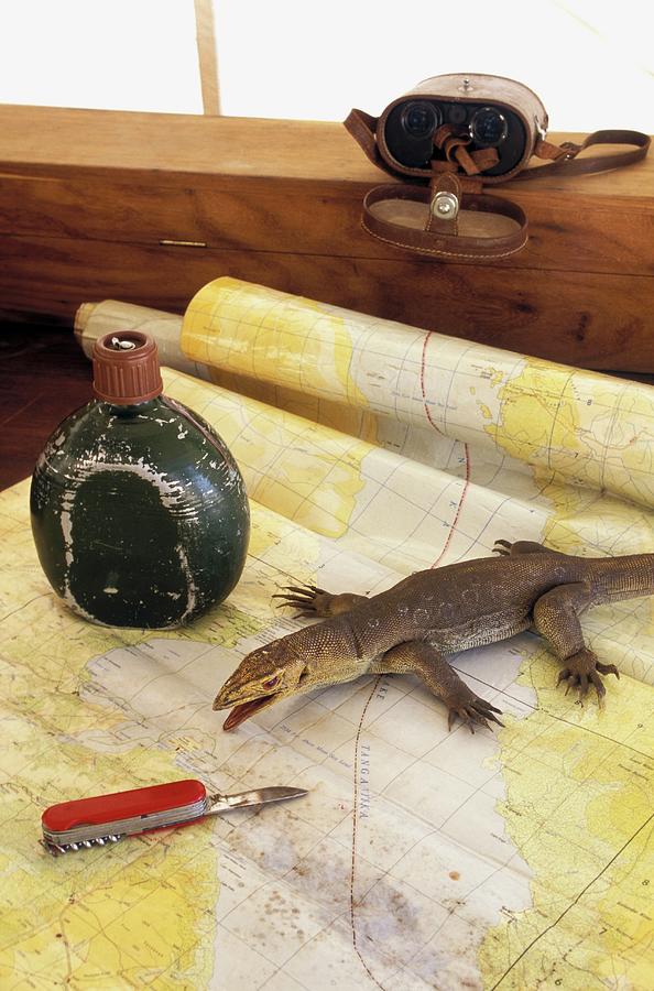 Rubber Animal, Water Bottle And Pocket Knife On A Map Photograph by Guy Bouchet