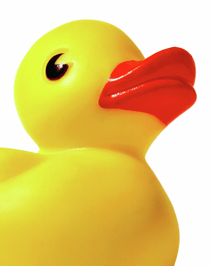 Rubber Duck, Close-up, Low Angle View Photograph by Eric Bean