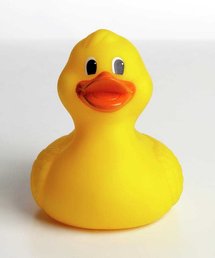 Rubber Duck, Front View by Dave King