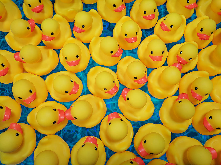 Rubber Duck Meet and Greet by Debi Dalio Rubber Duck Meet and Greet by Debi Dalio