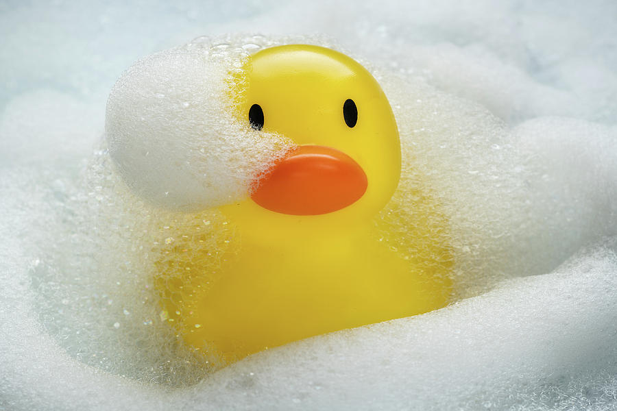 Duck Photograph - Rubber Duckie Bathtime by Steve Gadomski