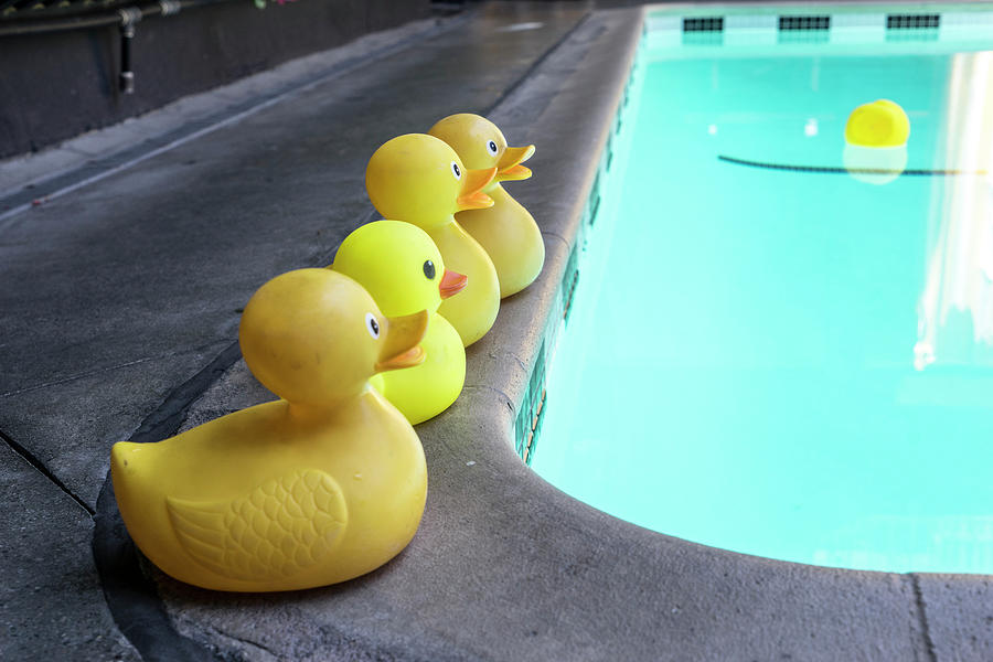 Rubber Ducks By Pool Digital Art by Giovanni Simeone