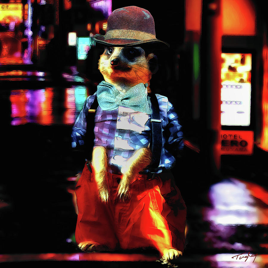 Rube by Orenda Pixel Design Rube by Orenda Pixel Design