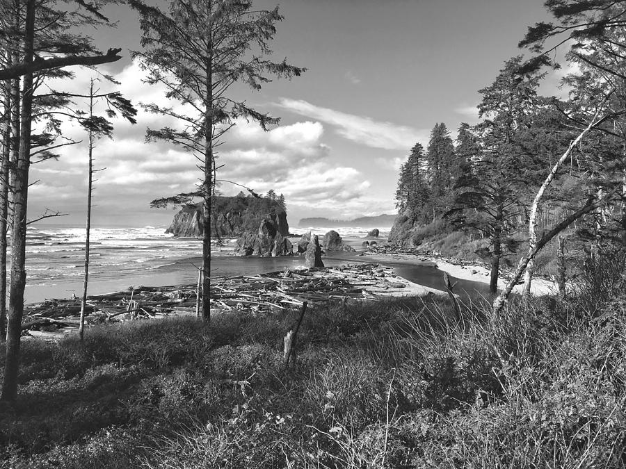 Ruby Beach and Abbey Island Photograph by Jerry Abbott