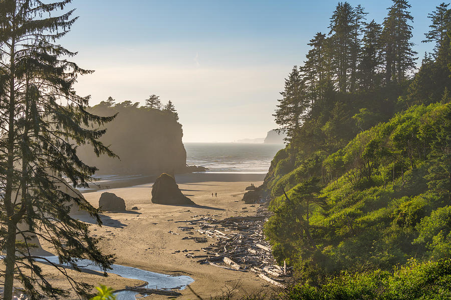 Olympic National Park Photograph - Ruby Beach In Olympic National Park by Sean Pavone