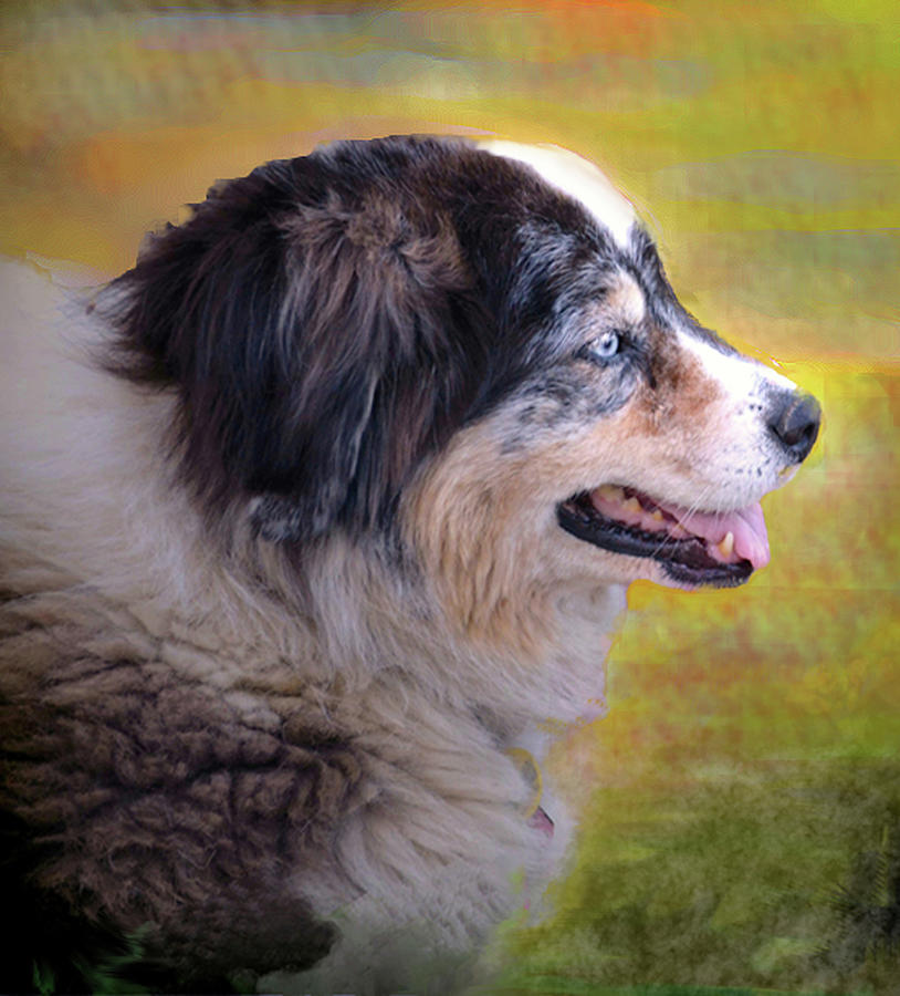 Ruby Girl - A Girl's Best Friend by Patricia Keller Ruby Girl - A Girl's Best Friend by Patricia Keller