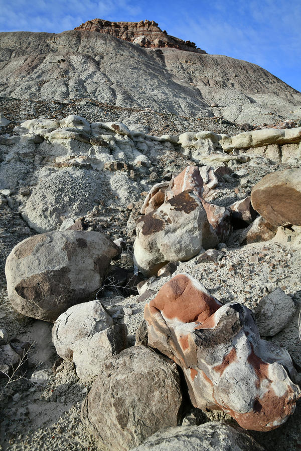 Ruby Mountain Boulders of Color Photograph by Ray Mathis