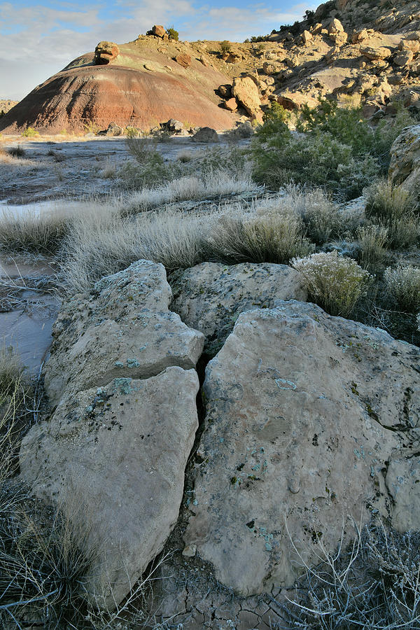 Ruby Mountain Hills And Boulders Photograph