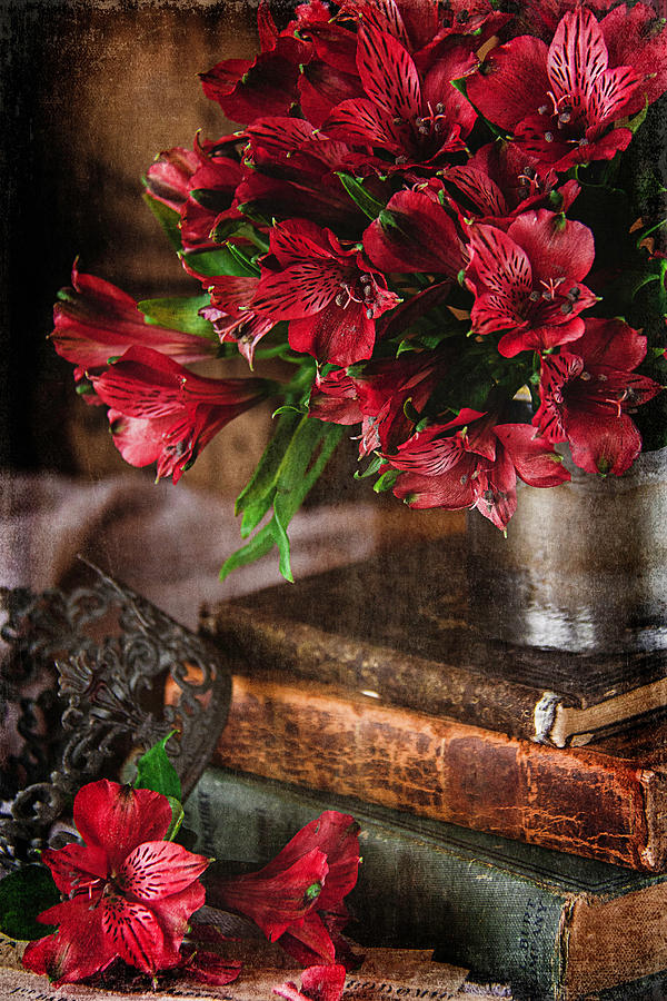 Ruby Red Alstroemeria Photograph by Cindi Ressler