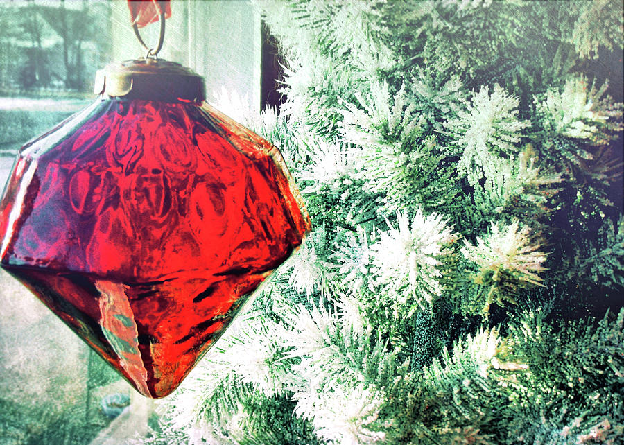 Christmas Photograph - Ruby Red by JAMART Photography