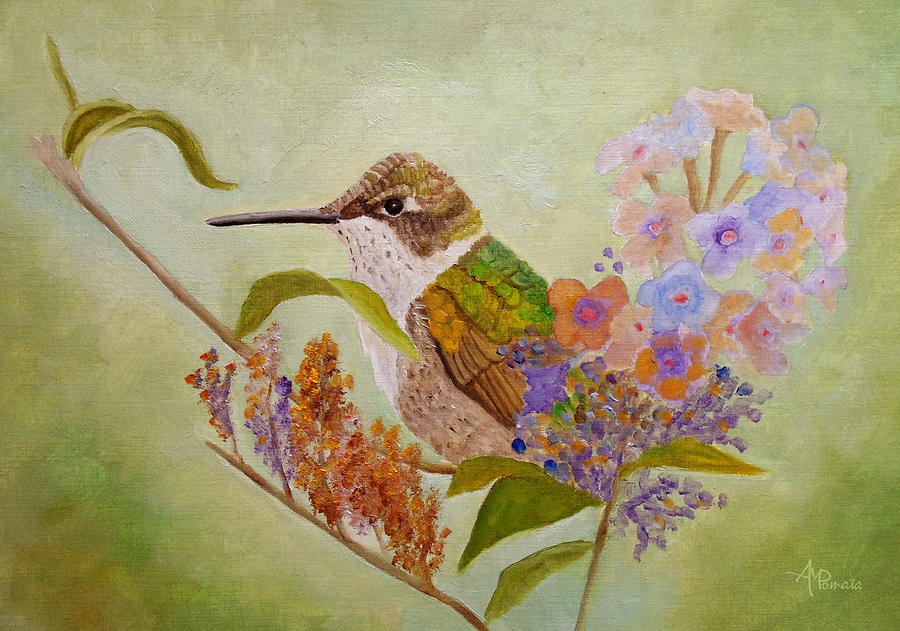 Hummingbird Painting - Ruby Sweetheart by Angeles M Pomata