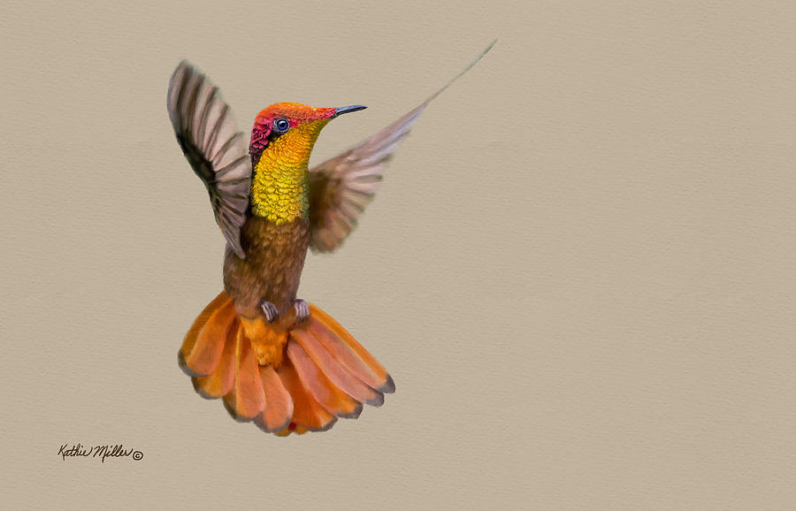 Ruby Topaz Hummingbird Digital Art by Kathie Miller