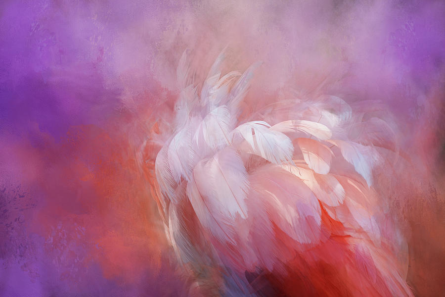 Ruffled Feathers Digital Art by Terry Davis